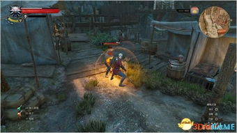 《巫师3》法印技能深度解析：解锁神秘效果，提升战斗实力秘籍