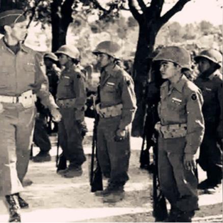 乙金战争全解析：揭秘兵种战斗力，图文攻略深度剖析必看