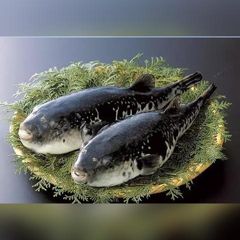 祥和之灵有什么用,还能帮装备恢复活力吗 祥和之灵有什么用,还能帮装备恢复活力吗