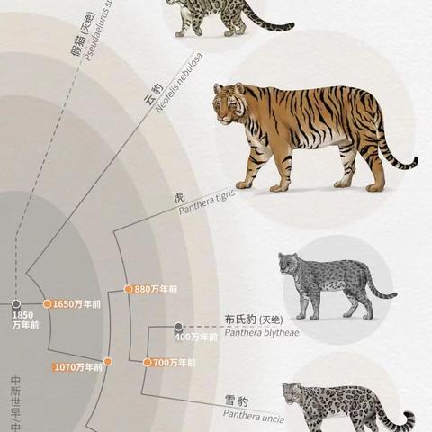 进化怪物资料大揭秘：野生图鉴深度解析，探索未知！
