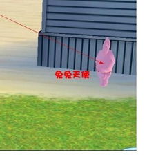 兔兔天使在哪,沙滩还是泳池？