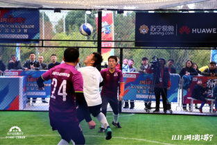 艾丽足球大乱斗必杀技揭秘：掌握全场制胜之道