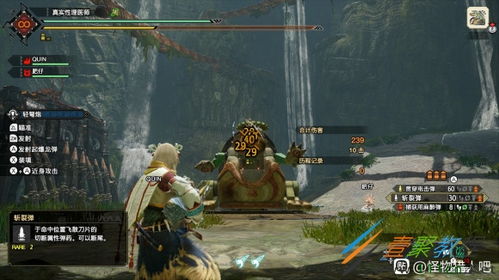 《怪物猎人崛起》冥渊轻弩强配攻略：轻松升级，掌握独门秘籍