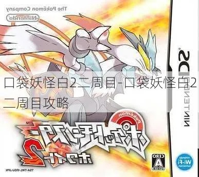 口袋精灵2攻略,口袋妖怪白2
