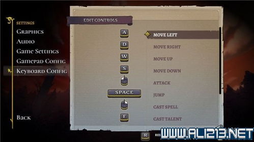 《盗贼遗产2》开荒攻略：新手必看技巧与设置优化指南