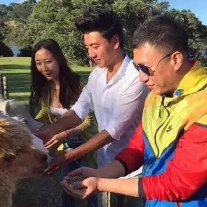 美女打扑克牌,她们的牌技如何