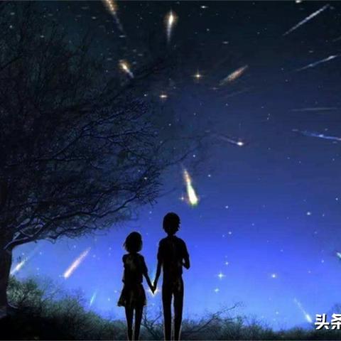 《动物森友会》天气变化时间概率揭秘，掌握最佳出行时机！