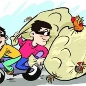 松木的力量,你准备好了吗？