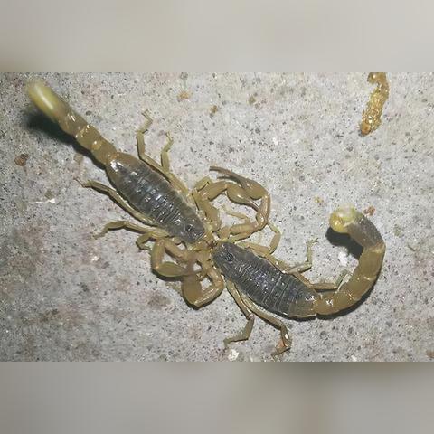 揭秘《模拟人生4》露天度假隐藏地图：神秘隐士地点攻略秘籍