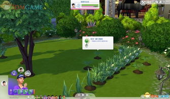 揭秘《模拟人生4》DLC生命册：死亡花仙馔密酒攻略全解析