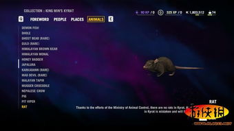 孤岛惊魂4全动物收集攻略：揭秘神秘图鉴价值解析