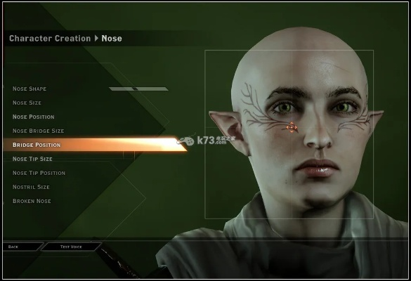 《龙腾世纪：审判》捏脸攻略：龙母角色定制技巧大揭秘！