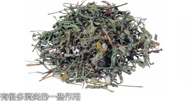 youmin中药材功效与应用:清热解毒,散结消肿的传统疗法 youmin中药材功效与应用:清热解毒,散结消肿的传统疗法