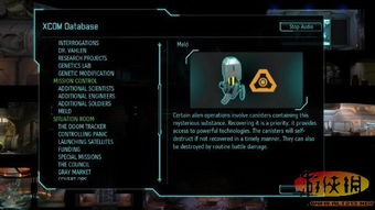 杀手已死白金攻略：揭秘白金难点通关秘籍，轻松解锁游戏新境界