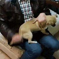 S12 赛季发条魔灵出装全解析,助力战场称霸 S12 赛季发条魔灵出装全解析,助力战场称霸