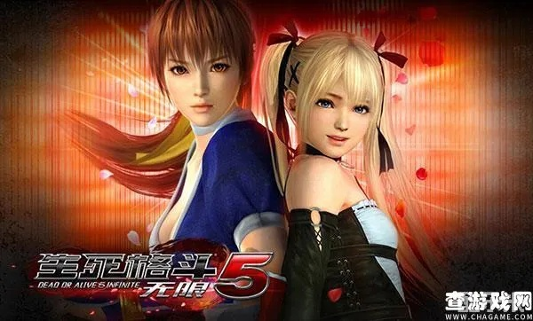 探秘生死格斗 5 无限官网，格斗世界的数字之门