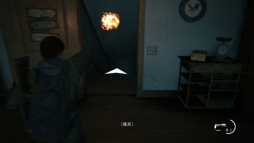 《最后生还者2》辅助攻略：深度解析，解锁全新生存技巧