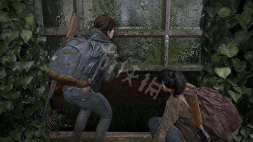 《最后生还者2》西雅图市中心全地图攻略:解锁观光者奖杯必看技巧 《最后生还者2》西雅图市中心全地图攻略:解锁观光者奖杯必看技巧