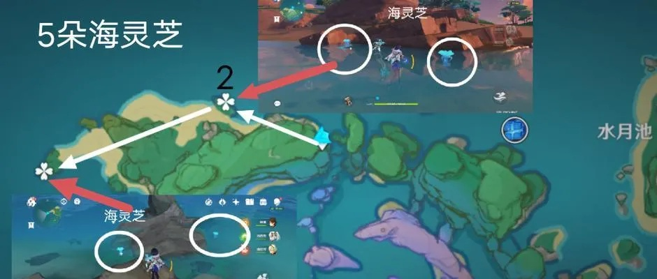 《原神》2.8版攻略：海灵芝高效采集路线+万叶突破必备材料速查