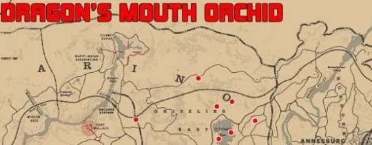 《荒野大镖客2》珍品兰花全位置揭秘攻略指南