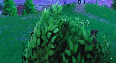 《堡垒之夜》伪装灌木丛技巧揭秘:高效隐蔽新玩法攻略! 《堡垒之夜》伪装灌木丛技巧揭秘:高效隐蔽新玩法攻略!