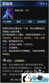 《逆水寒》碎梦碧血丹青BUG连招解析：高效秒人技巧揭秘