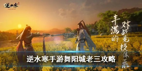 《逆水寒》新版本舞阳城老三攻略：高效野队打法揭秘！