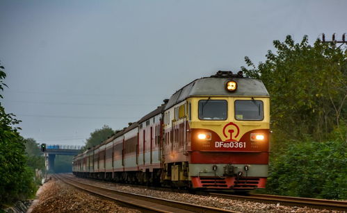 列车总动员：畅玩火车经营与城市建设的完美结合