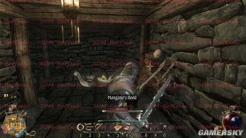 《两个世界2》第一章攻略解析：揭秘新手必看生存技巧攻略