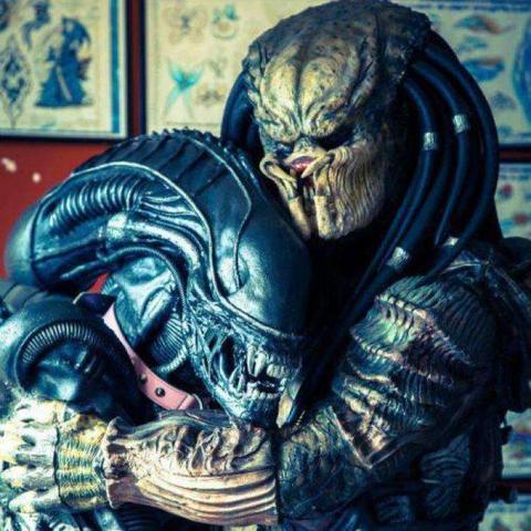 《异形大战铁血战士》攻略:深度解析核心技巧,助你轻松通关! 《异形大战铁血战士》攻略:深度解析核心技巧,助你轻松通关!