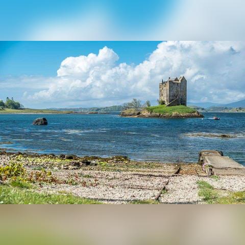 摩尔庄园昆虫捕捉全攻略