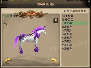 朱诺兽强力解析:时空异客数码兽阵容推荐攻略 朱诺兽强力解析:时空异客数码兽阵容推荐攻略