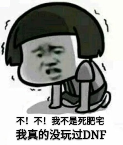 dnf死肥宅视频（这视频说了什么）