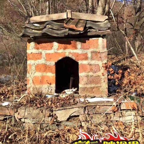 梦幻诛仙焚香仙灵培养指南:天赋亲和及弱点选择 梦幻诛仙焚香仙灵培养指南:天赋亲和及弱点选择