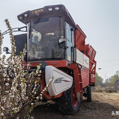 2021 多多自走棋攻略大全