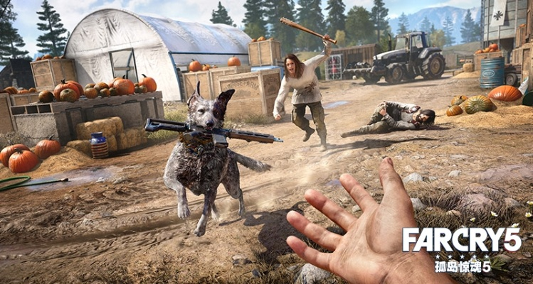 孤岛惊魂5深度解析：揭秘游戏背后的故事与玩法