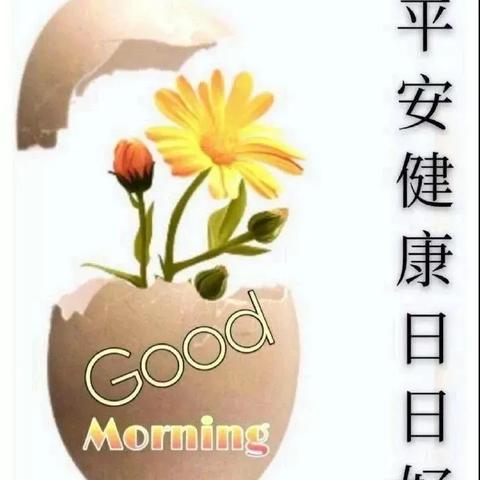 《绝地求生》5月3日第12轮更新揭秘：全新内容深度解析！