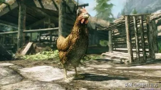 《上古卷轴5》高效杀鸡攻略：轻松掌握鸡肉获取技巧