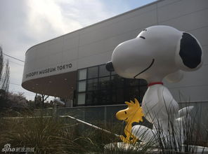 史努比冲浪,博物馆开在哪