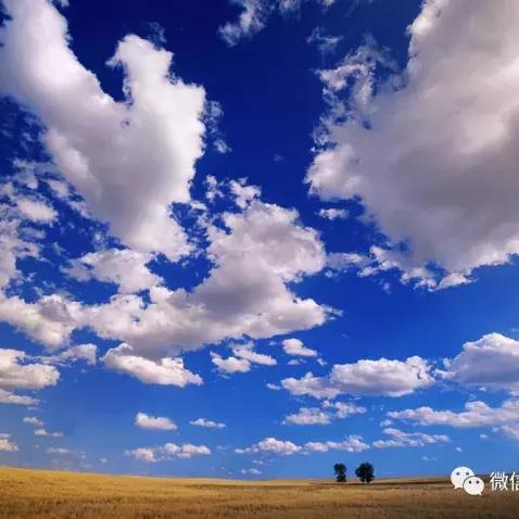 新江湖官网,你想当船长吗? 新江湖官网,你想当船长吗?