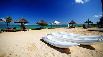 探寻天堂的在线地址8 探寻天堂的在线地址8