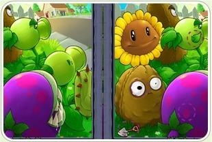 植物大战僵尸找茬（有攻略大全吗）