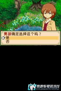 牧场物语双子村，探寻矿石的奥秘