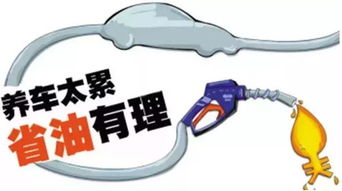 4d肉搏团哪里能看?老司机分享几个免费途径! 4d肉搏团哪里能看?老司机分享几个免费途径!