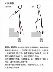 Shank的全面解读：小腿、柄及更多用途分析