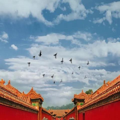 探寻帝国时代 3 中文版下载官网，开启经典游戏之旅