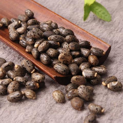 探秘植物大战僵尸战略版,策略与乐趣的完美融合 探秘植物大战僵尸战略版,策略与乐趣的完美融合