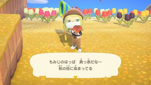 《动物森友会》独家秘籍!轻松获取蘑菇手册与季节家具攻略 《动物森友会》独家秘籍!轻松获取蘑菇手册与季节家具攻略