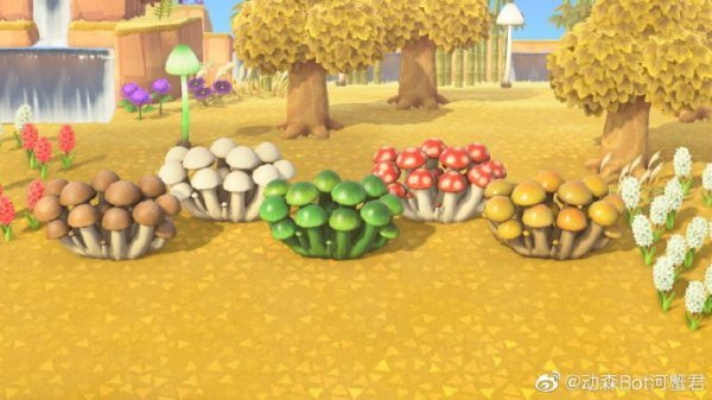 《动物森友会》蘑菇季家具DIY攻略：揭秘蘑菇家具概率与必备素材