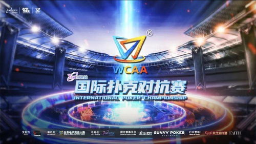 SCS2025总决赛巅峰对决，格斗竞技新篇章即将开启！